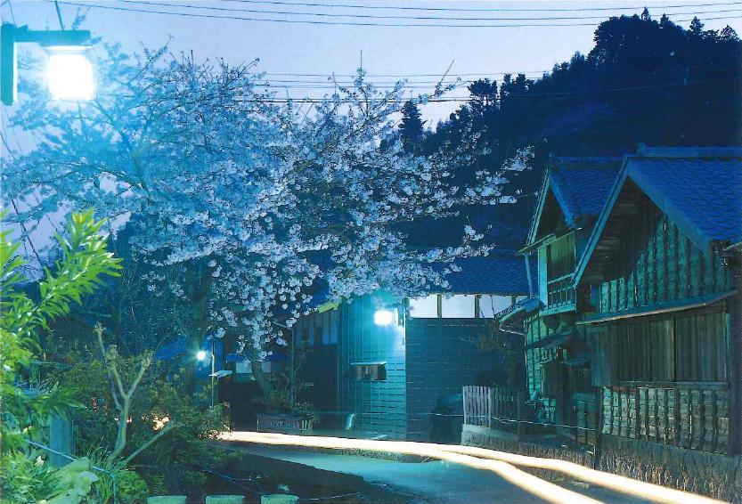 店内イメージ